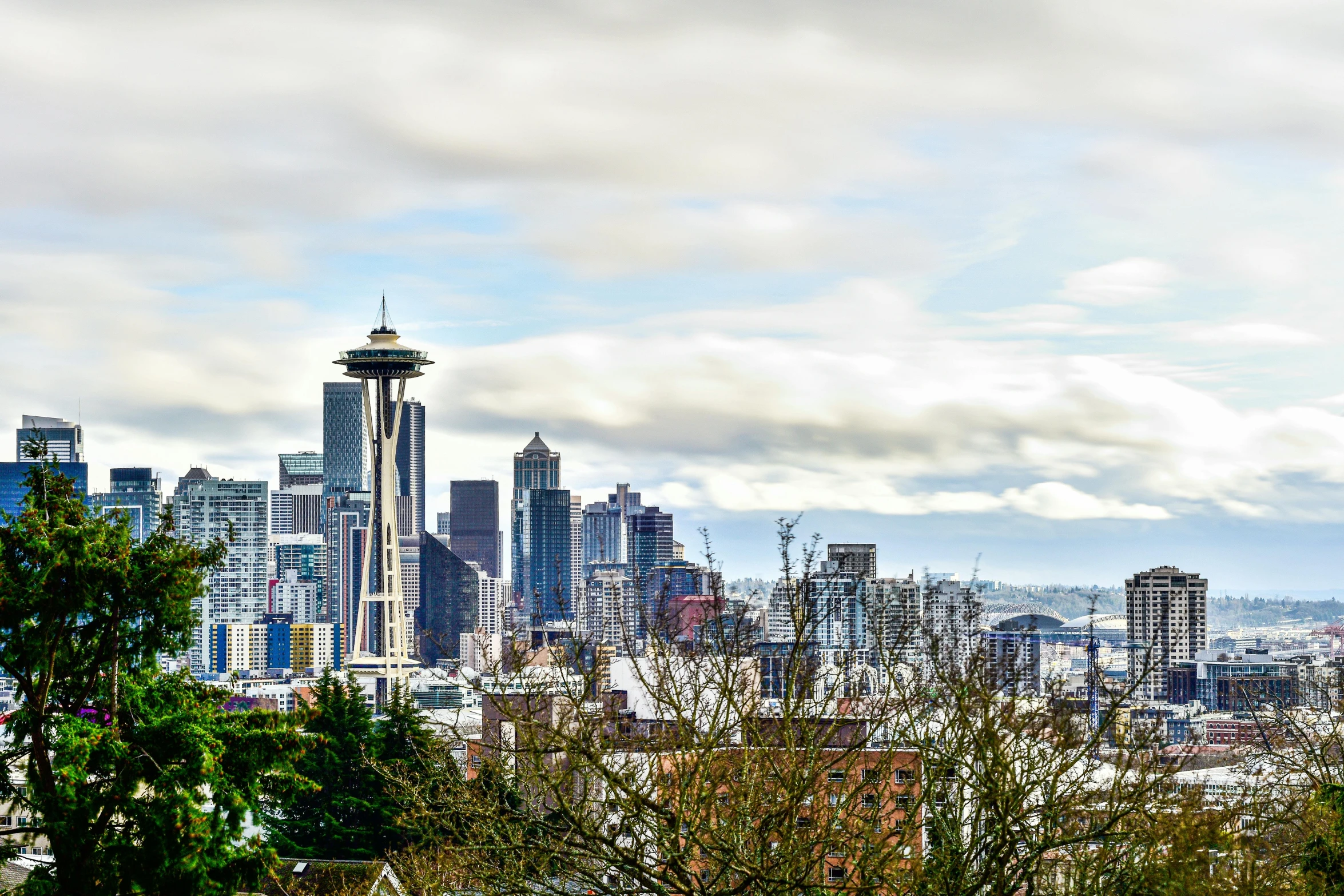 the skyline of a city, overlooking the trees, is covered in fluffy clouds