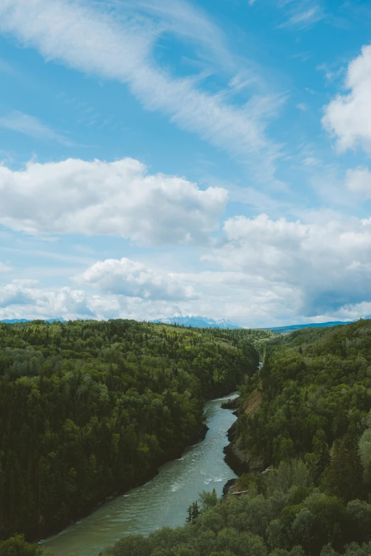 there is a view over a river through trees