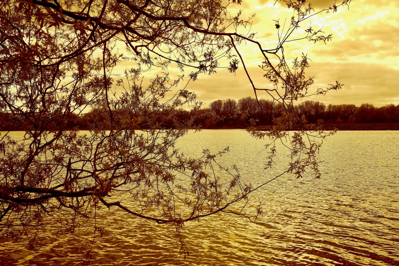 the reflection of trees in water on an orange cloudy day