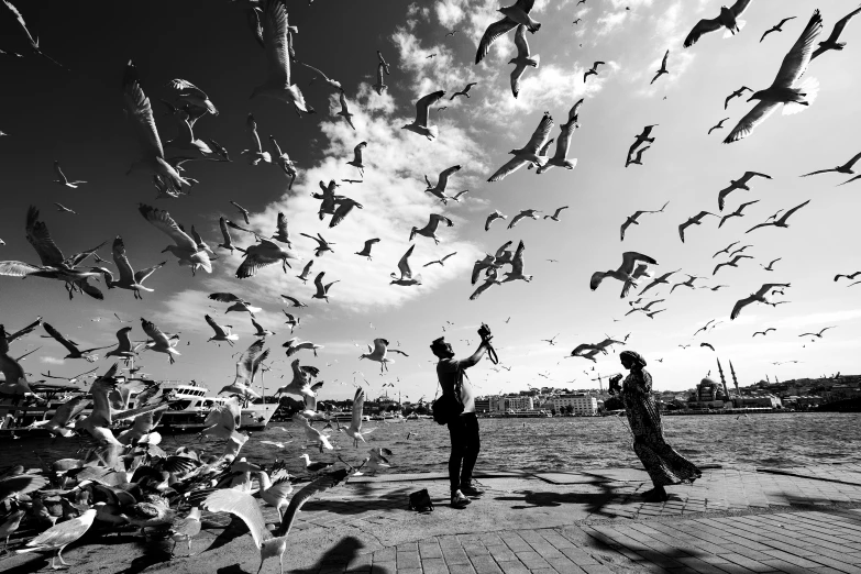 black and white image of a couple under the birds