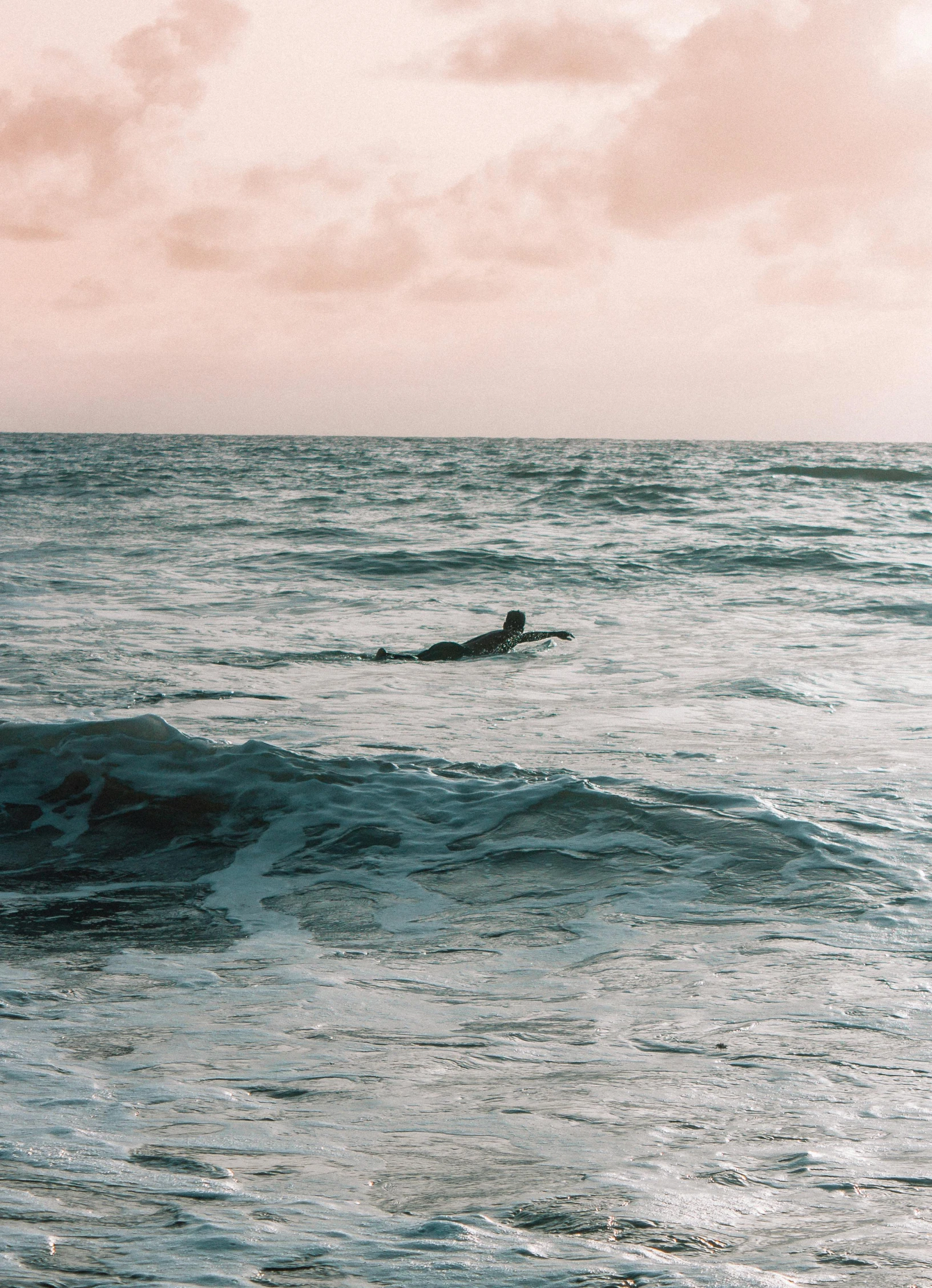 surfers glide through the waves in the open ocean