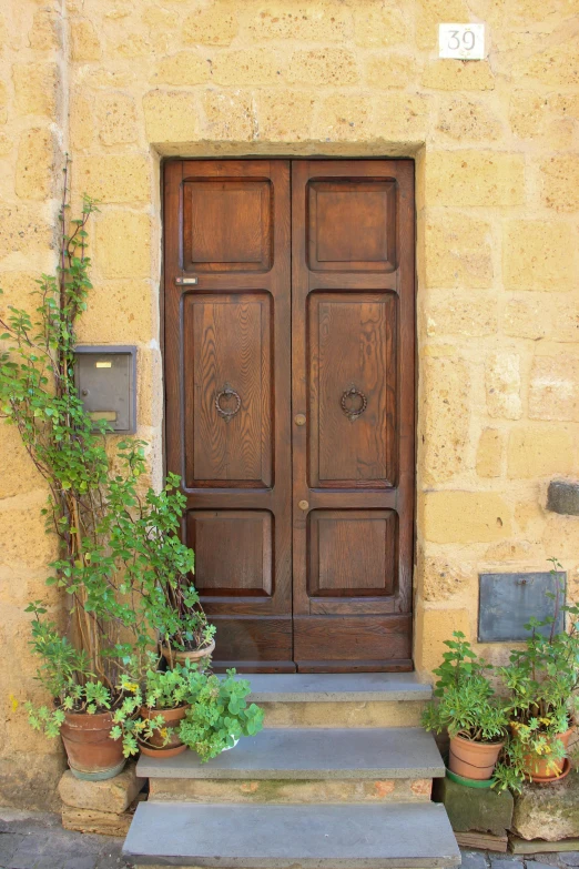 front steps with potted plants on either side, and two wooden doors