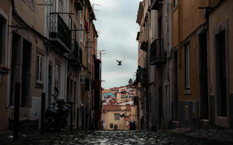 a bird flies between two buildings in the city