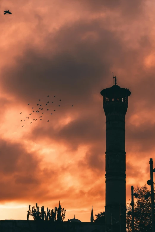 many birds fly by and the tower is illuminated