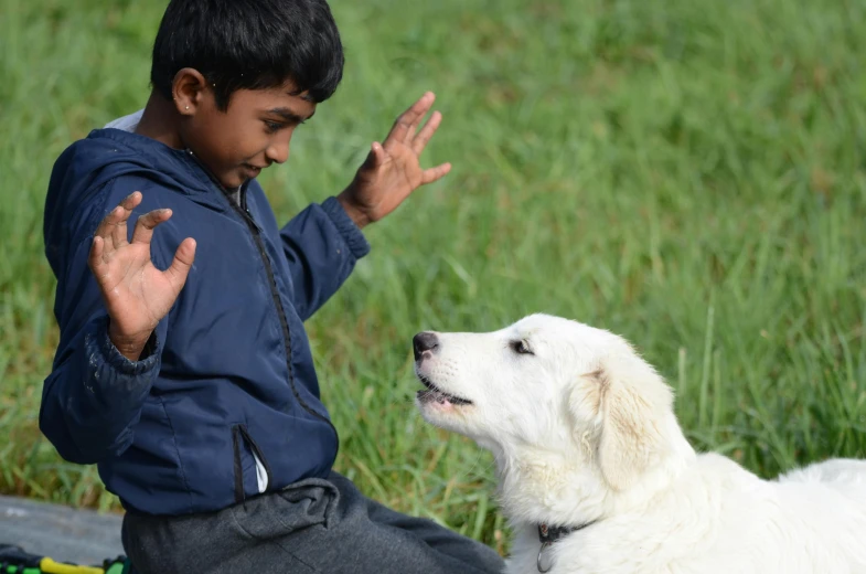 the dog is sitting by the boy's hand and the man is sitting next to him