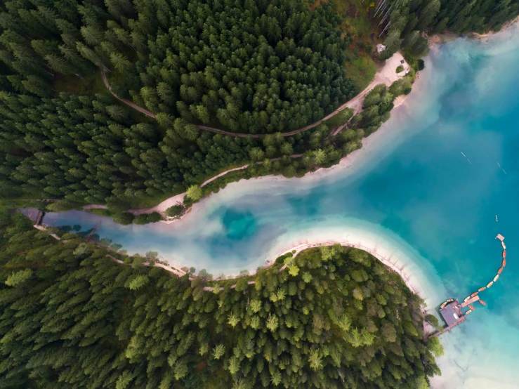 a river in the middle of a forest