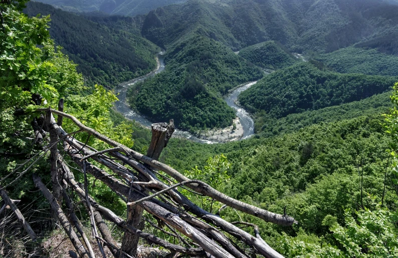 a river flowing through lush green mountains