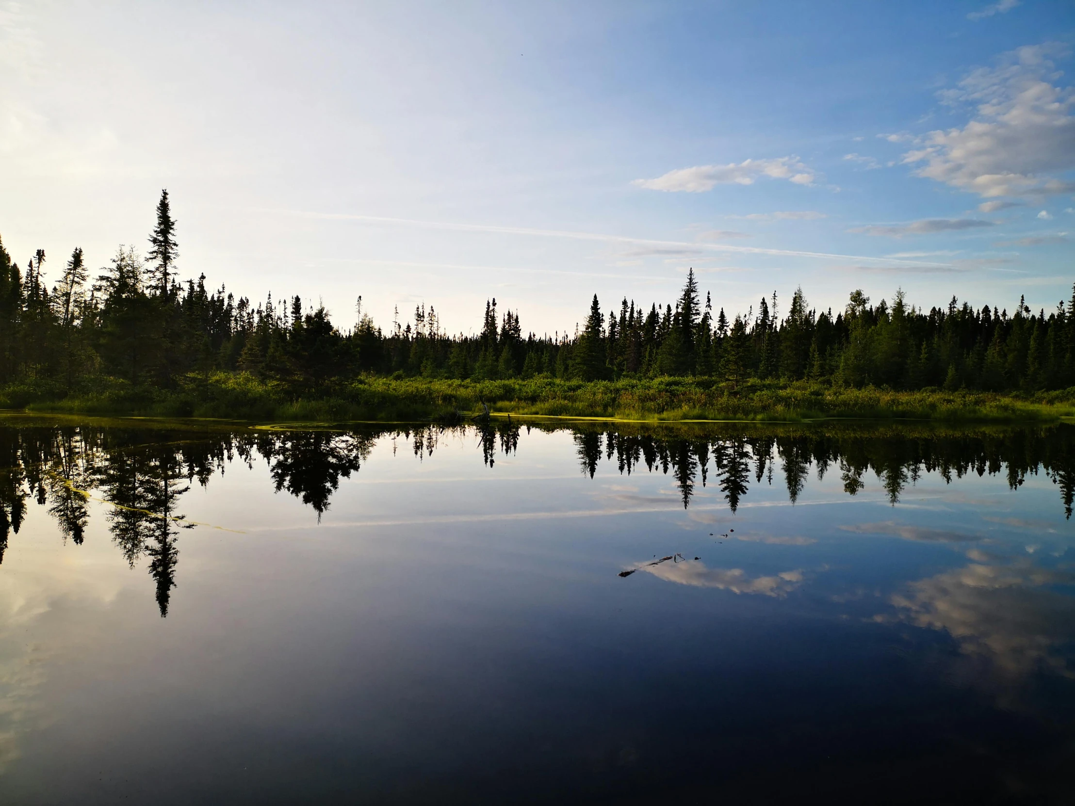 a body of water sitting near a forest covered hill