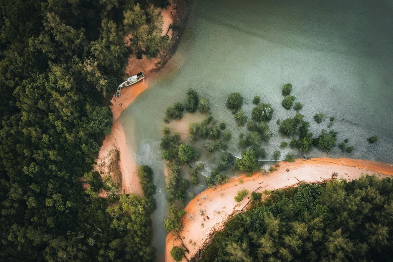 an aerial view of a small body of water surrounded by forest