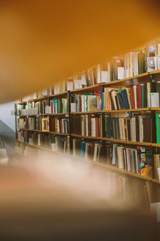 a liry with books, lamp, and dust trails