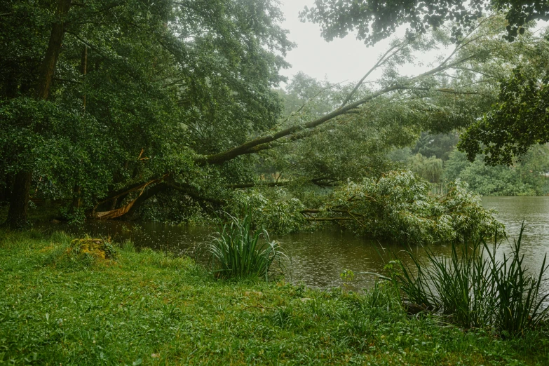 an empty bench sitting in the grass next to a river