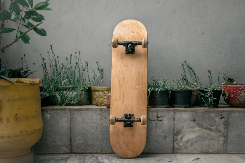 skateboard on the ground near some plants