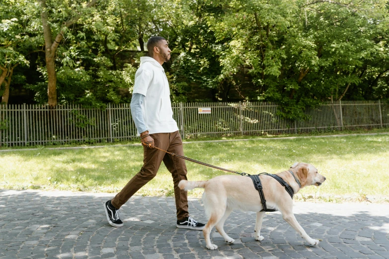 man walking his dog down the sidewalk while wearing sneakers