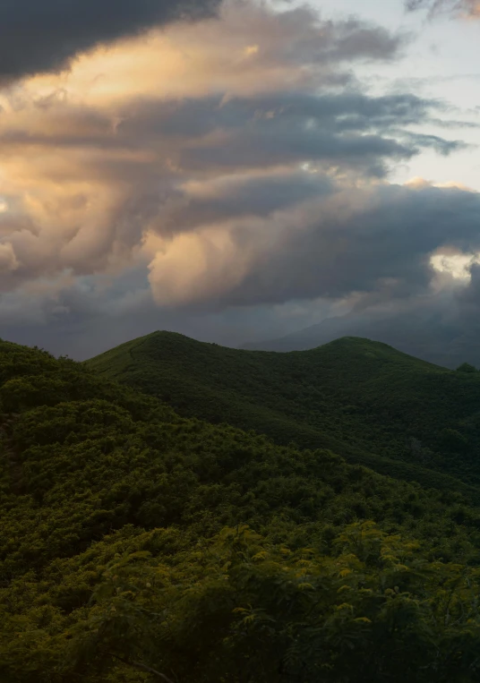 the sunset in the distance over a wooded area