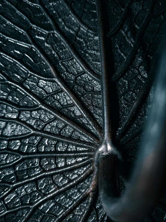 a close up view of an umbrella with many drops of water on it