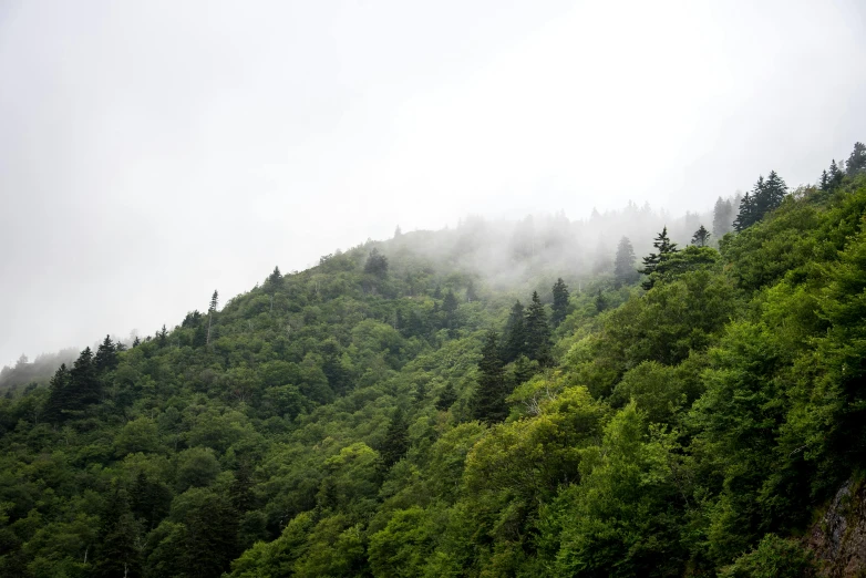 mist rolling down the mountainside as seen from a moving train