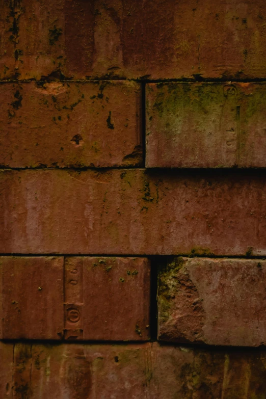 an orange bear sitting on top of a brick wall