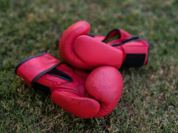 a pair of red boxing gloves that are sitting in the grass