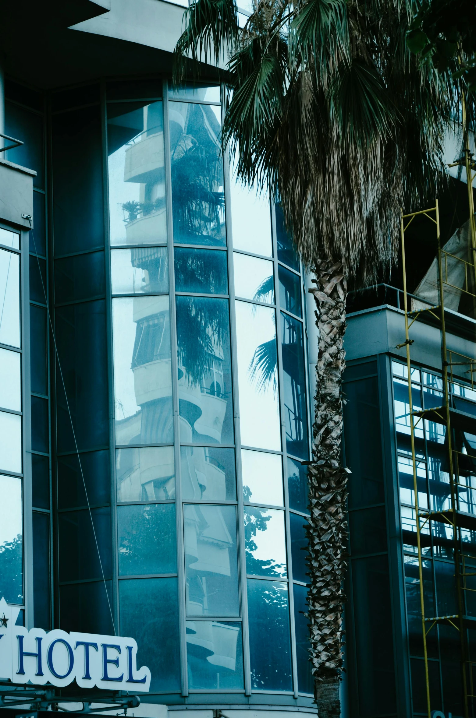 a building with an elegant glass facade next to a palm tree