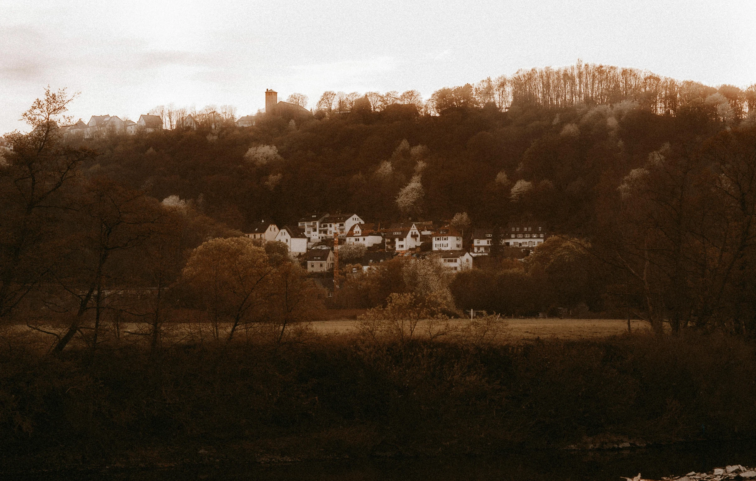 the woods are full of trees, with many houses on top of them