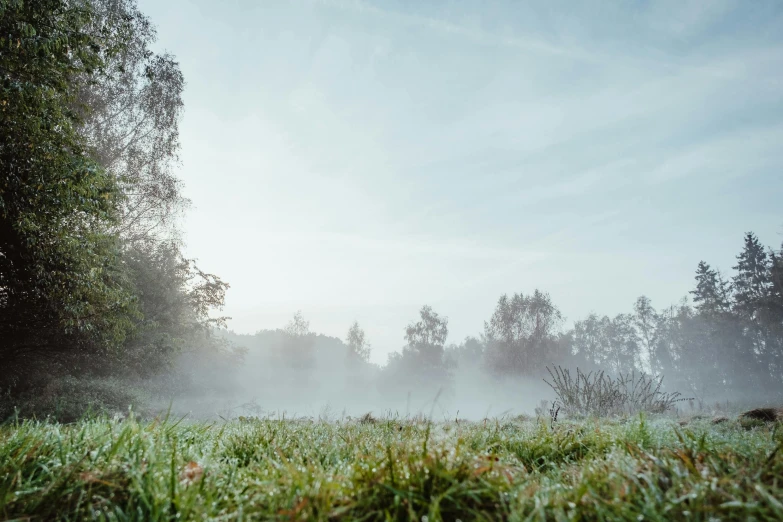 a green pasture covered in fog with trees and water