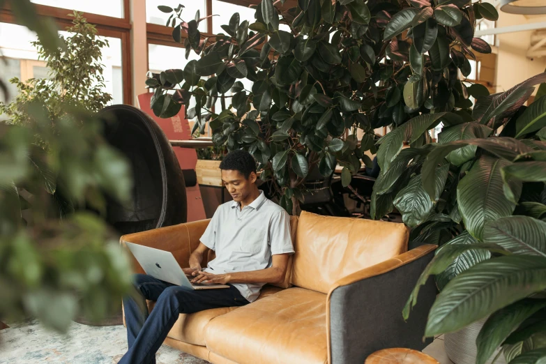 an asian man sitting on a leather sofa holding a laptop