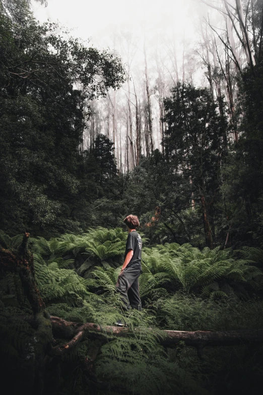 a man standing on a fallen tree nch in the woods