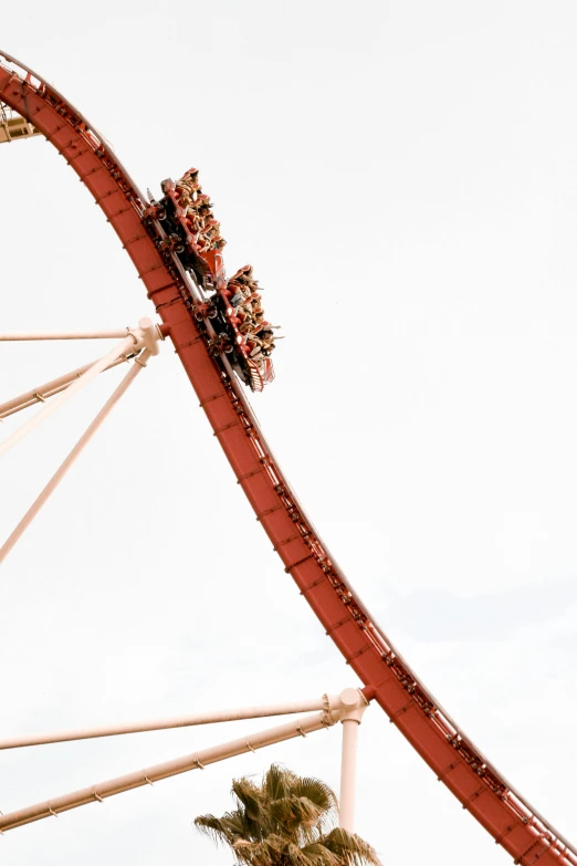 a roller coaster is being held by a person