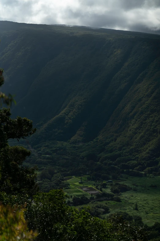 the landscape is beautiful and full of lush green