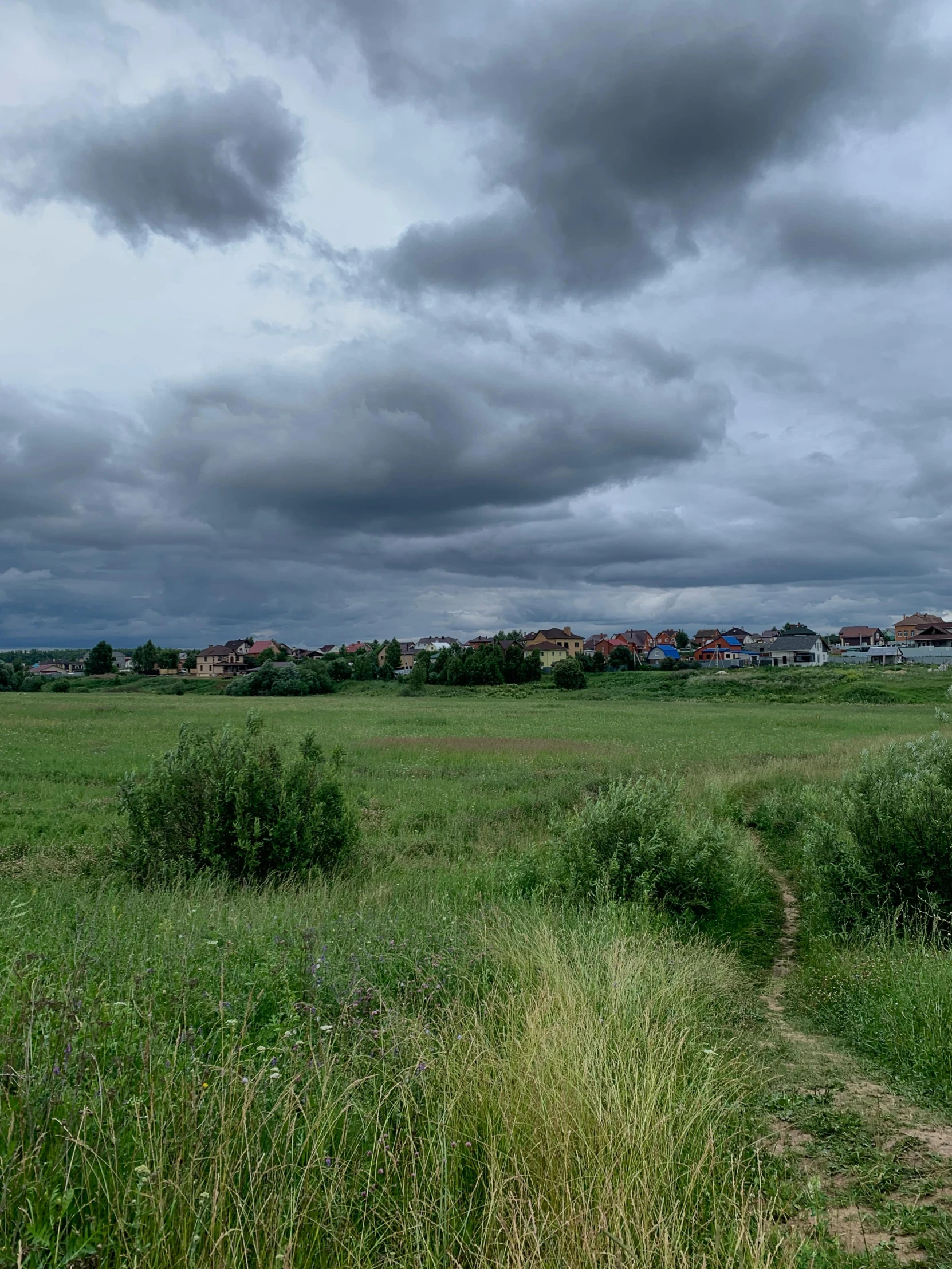 a dirt path running through a lush green field