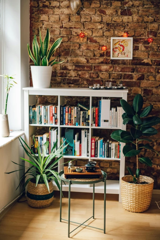 three indoor plants and two tables are sitting next to a bookcase