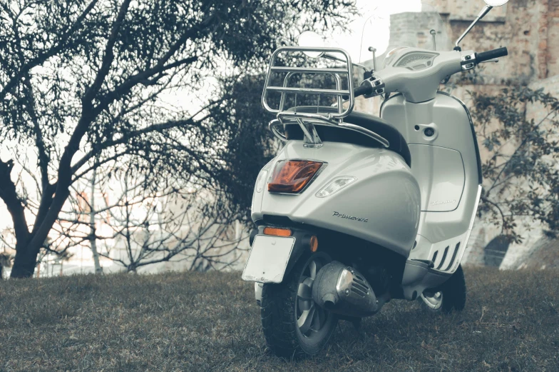 a white scooter sits on grass near a tree