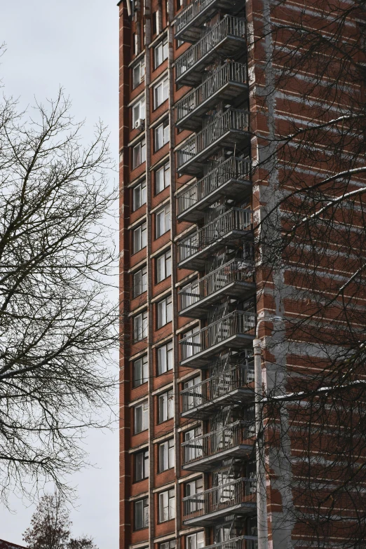 a large building with many windows next to a bare tree