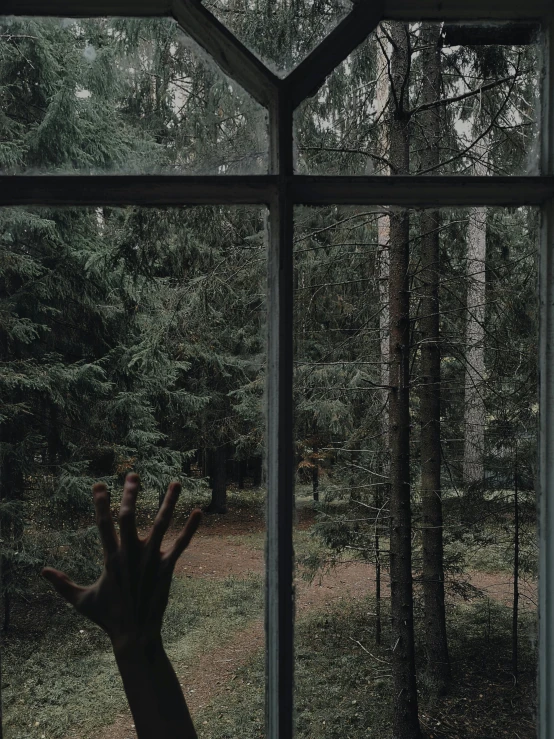 a hand is out of the window while a forest scene is seen through it