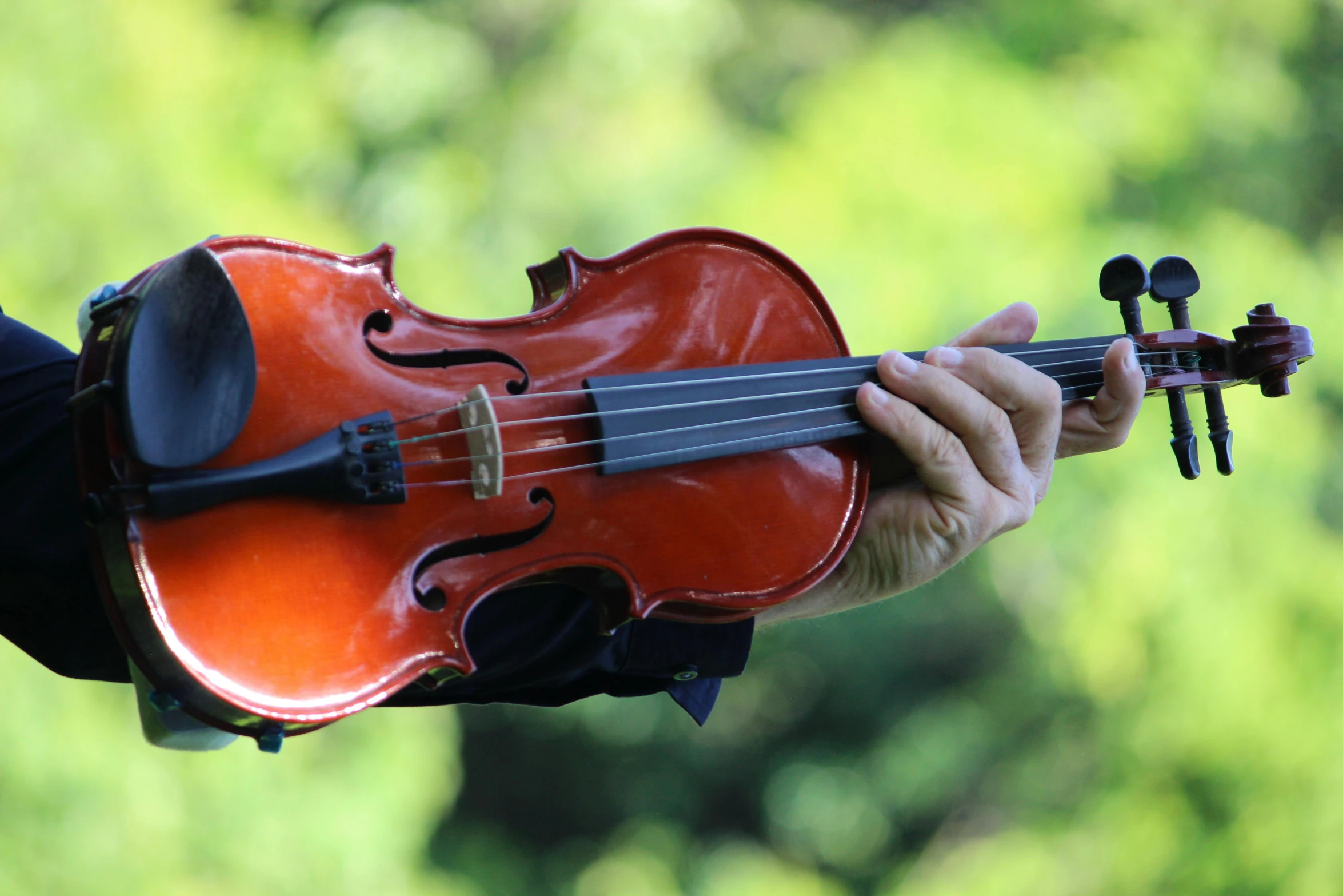 someone is holding up a violin to show the back end