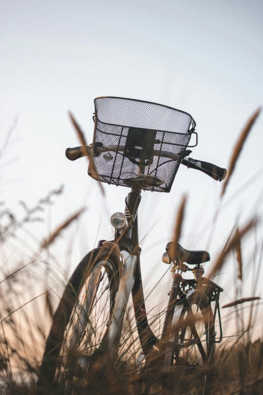 a bicycle with a basket sitting in the tall grass