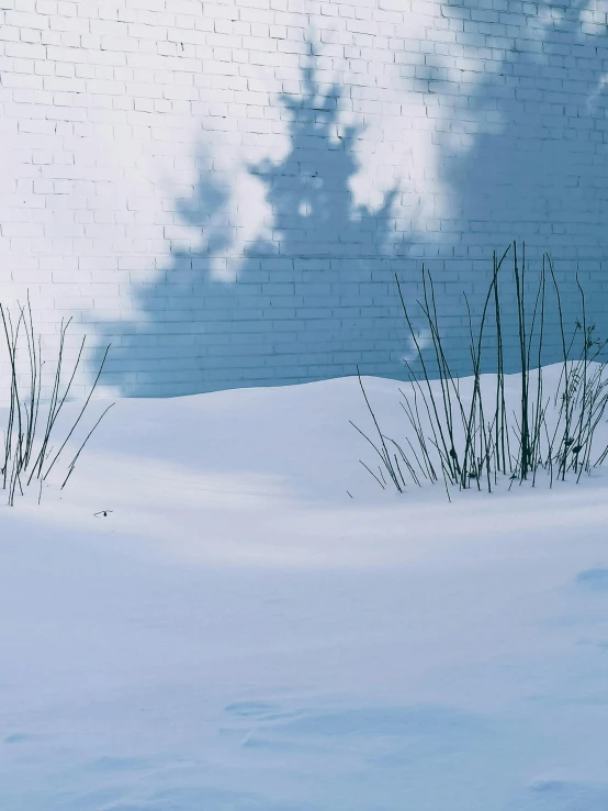 some grass are next to a brick building in the snow