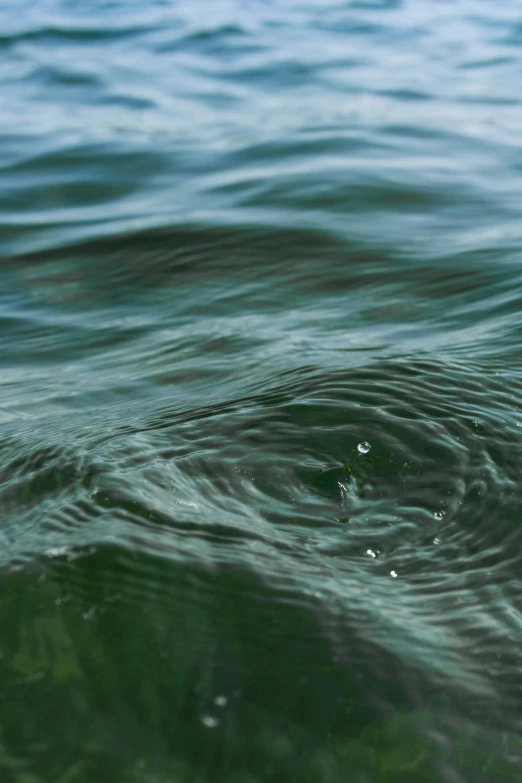 the reflection of the sun on the water surface