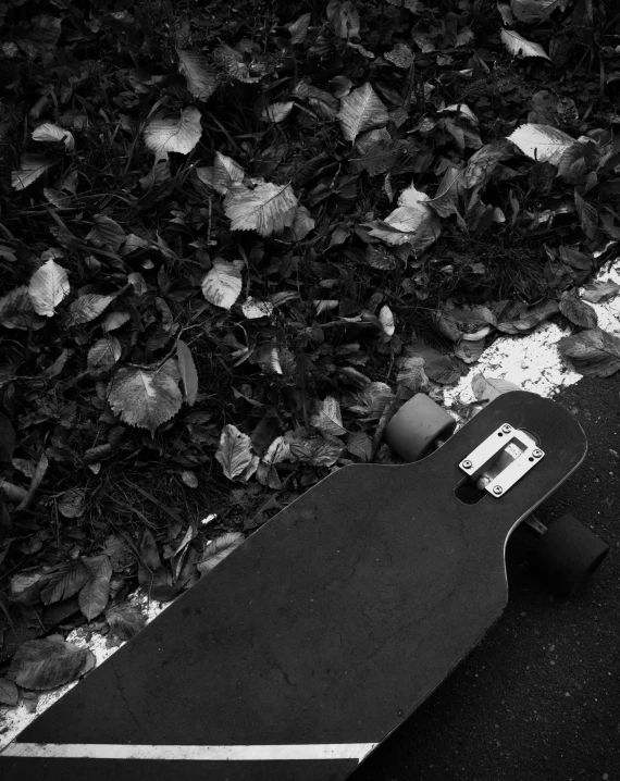 a skateboard laying on the ground next to leaves