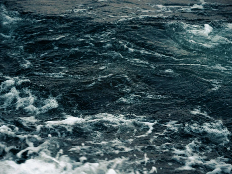 a bird standing on top of a boat in a large body of water