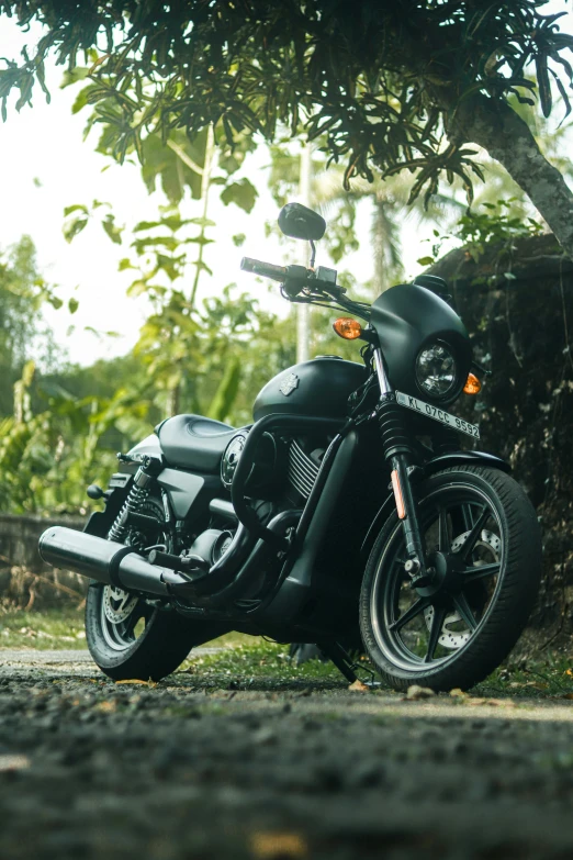 a black motorcycle is parked on some grass