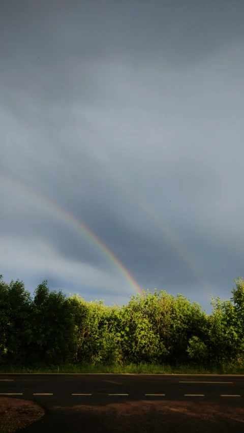 the end of a rainbow seen from the street in front of the trees