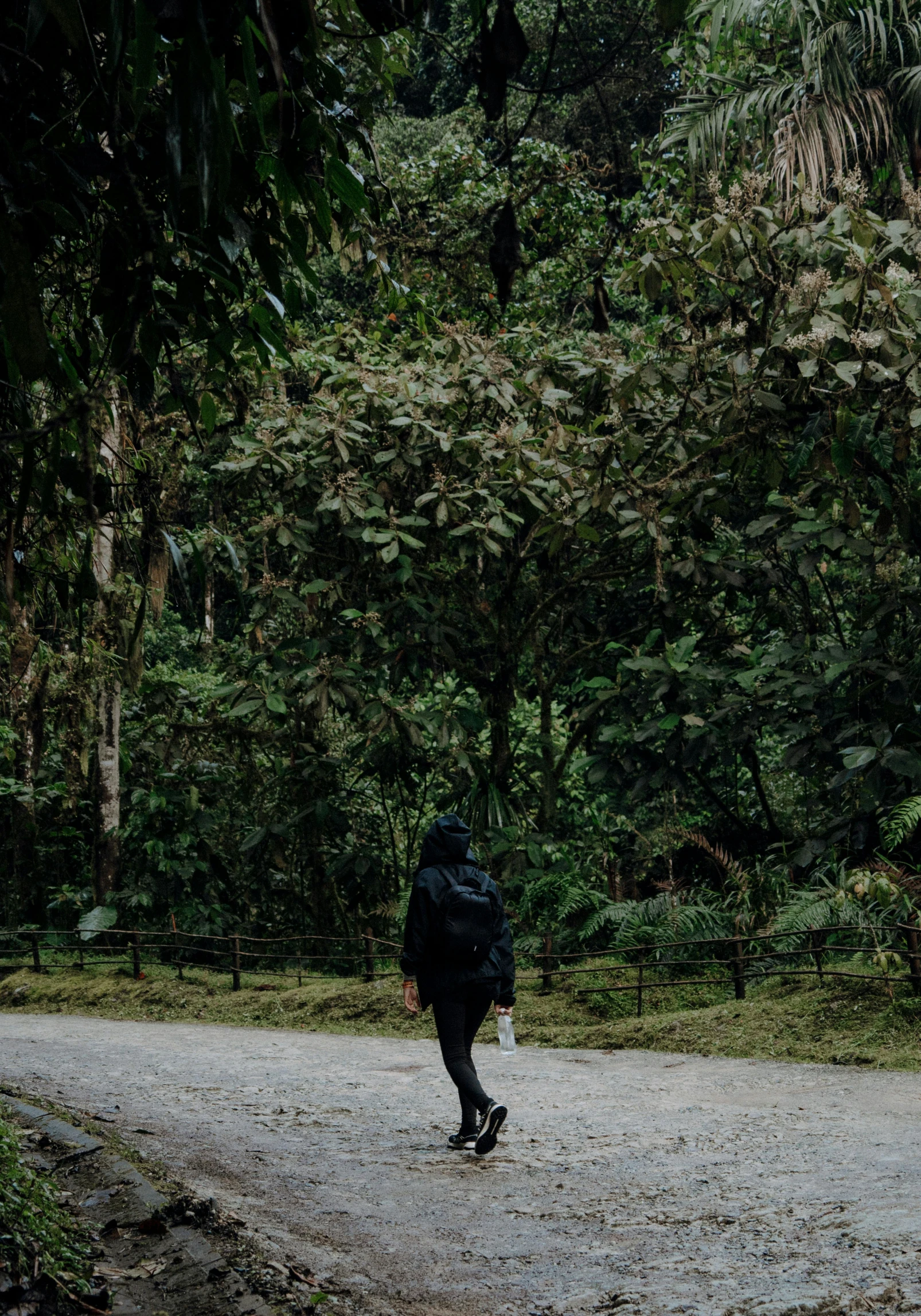 a man is walking in the woods with his suitcase