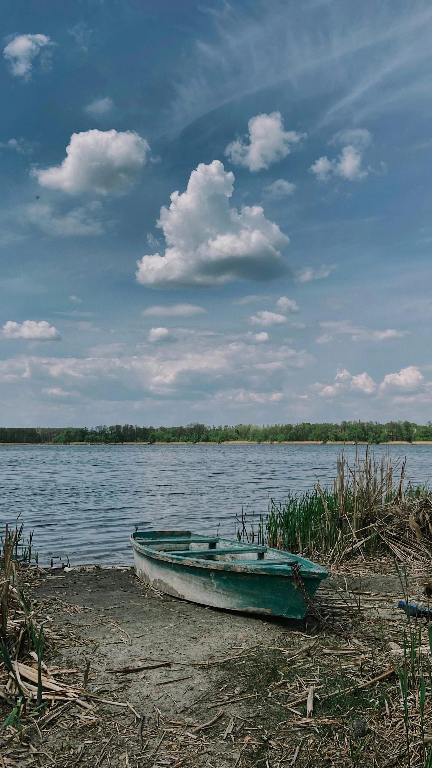 two row boats docked on the shore of a lake