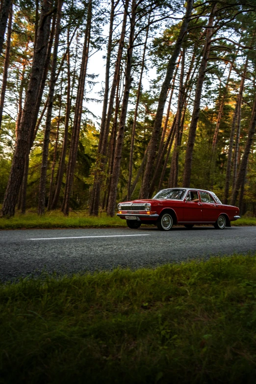 a car on a road near some trees