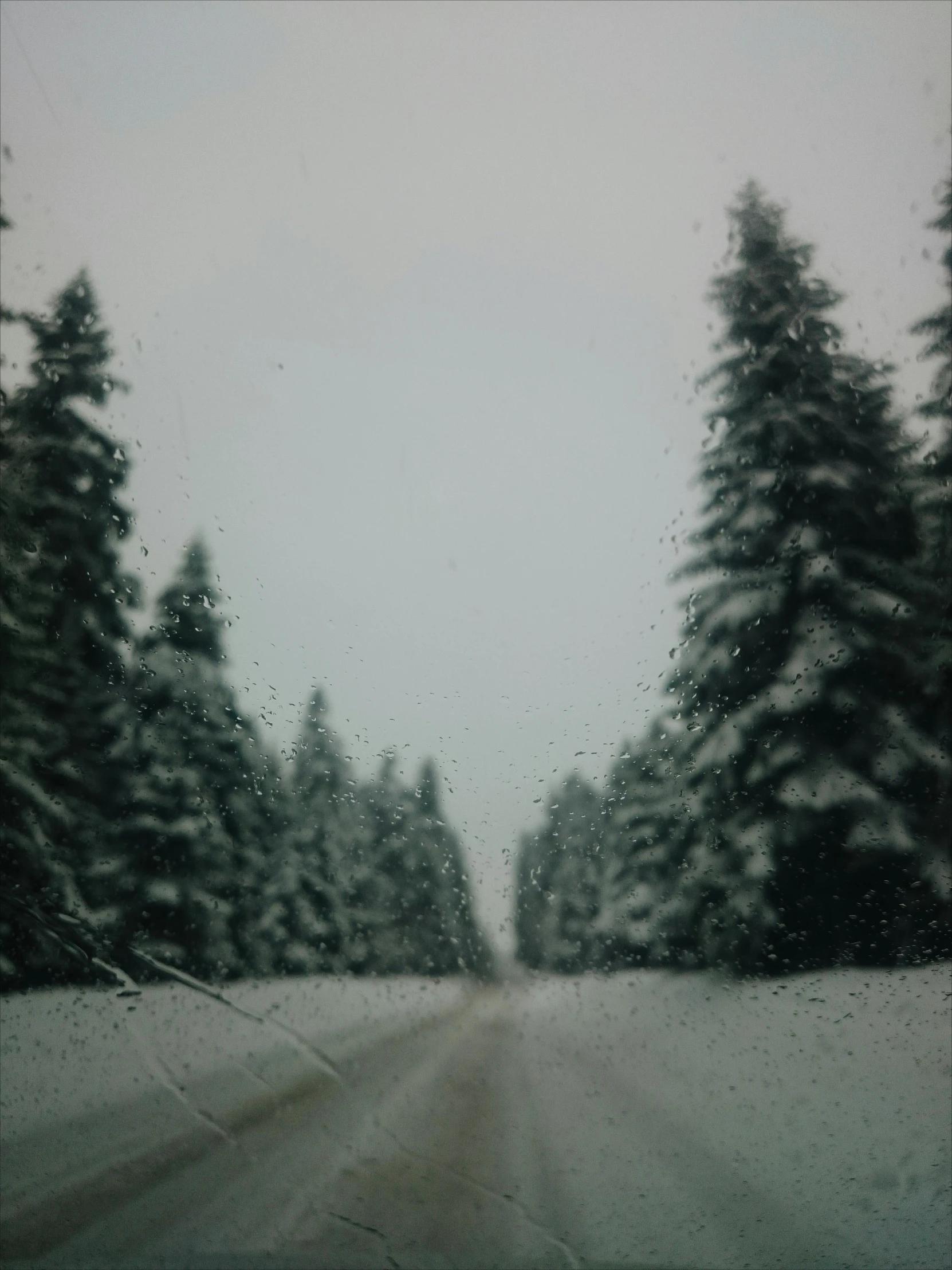 there is snow falling on the trees and the road