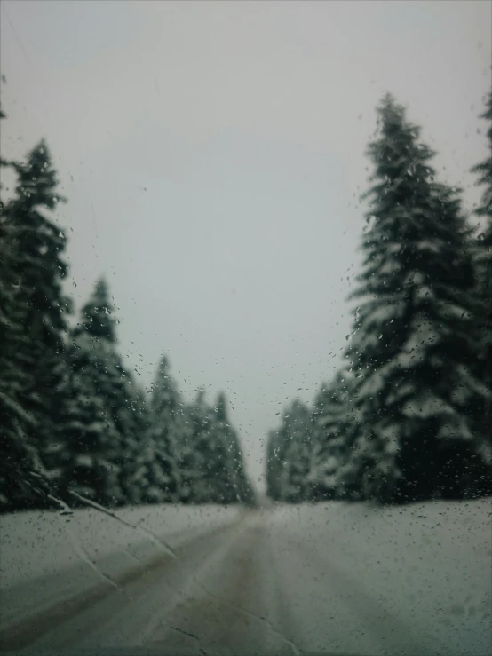 there is snow falling on the trees and the road