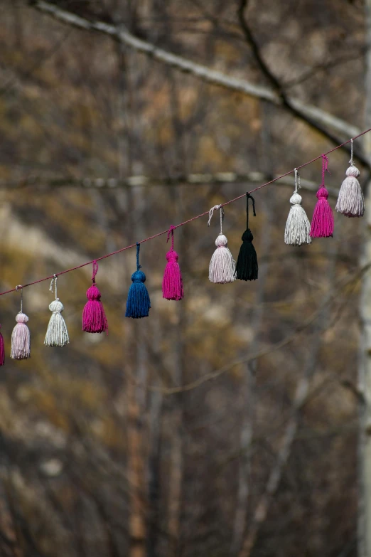 small tassels hanging on the clothes line