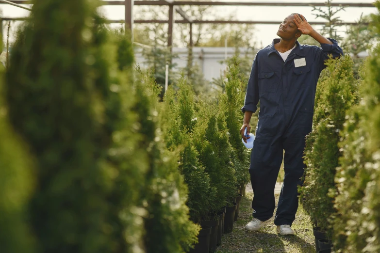 a man that is standing in a field near many plants