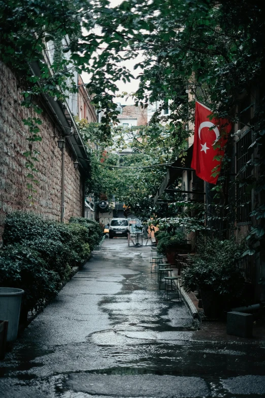 the view down a city street of houses and cars